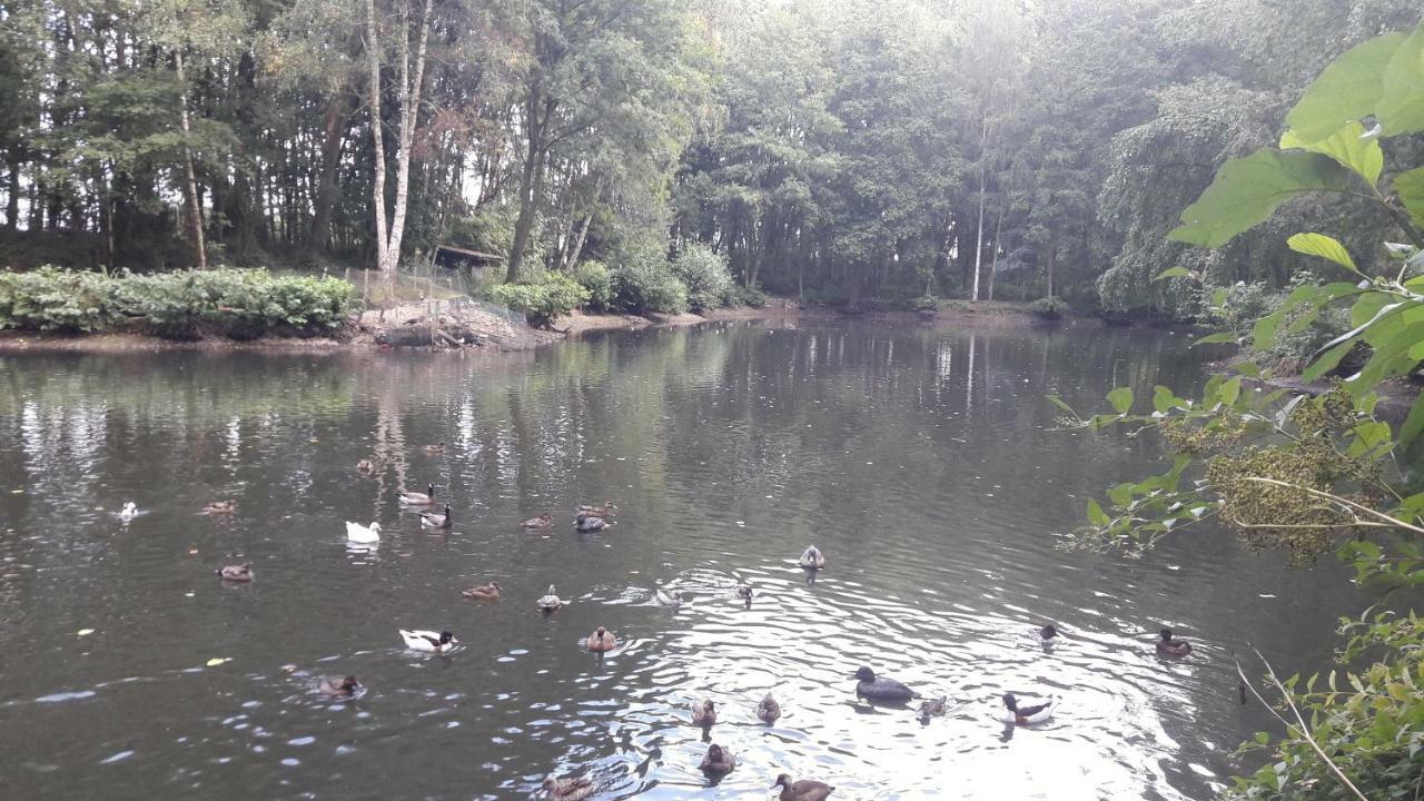 L'Oree Du Bois Coutiches Buitenkant foto