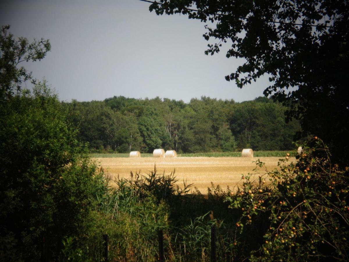 L'Oree Du Bois Coutiches Buitenkant foto